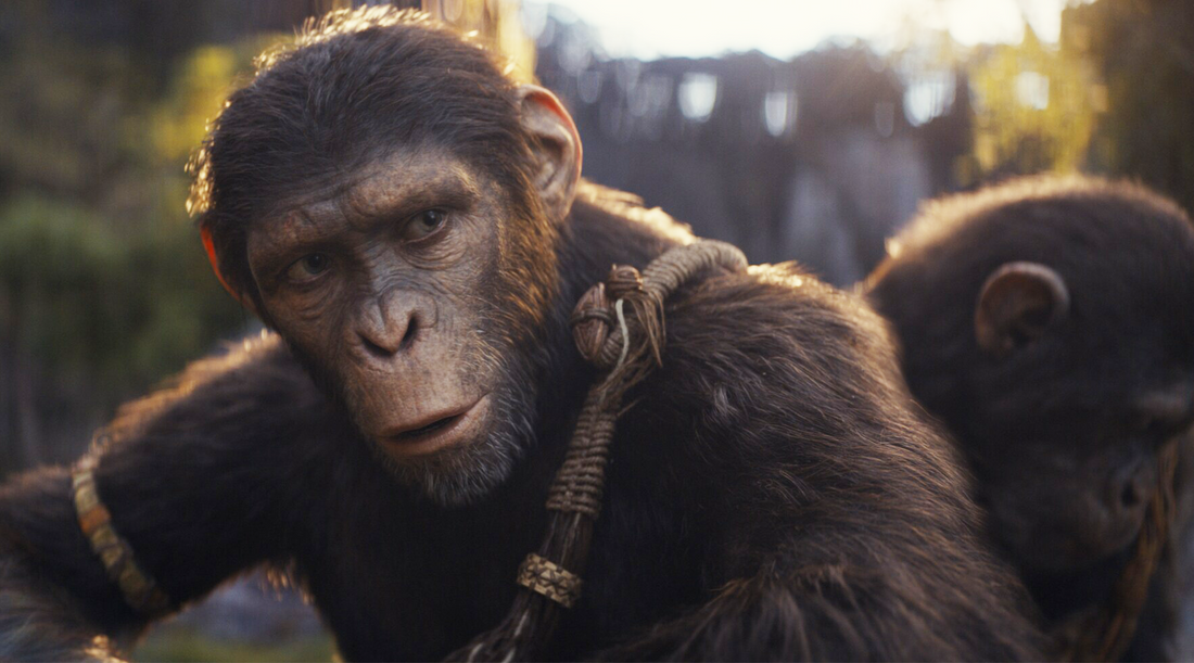 'Kingdom of the Planet of the Apes' is a Regurgitated Flop (According to My Dad)